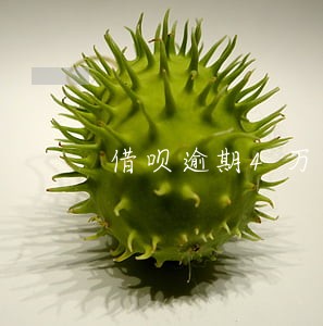 借呗逾期4万上门了 借呗逾期4万上门了