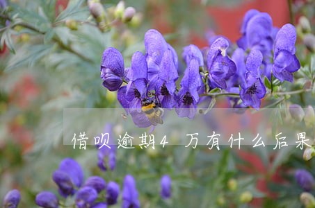 借呗逾期4万有什么后果 借呗逾期4万有什么后果