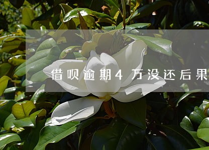 借呗逾期4万没还后果 借呗逾期4万没还后果