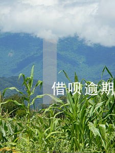 借呗逾期4个月会上门 借呗逾期4个月会上门