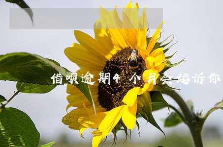 借呗逾期4个月会起诉你吗