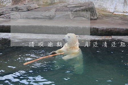 借呗逾期4个月还清还能借美团么 借呗逾期4个月还清还能借美团么