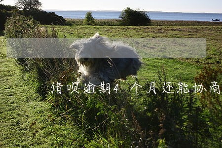 借呗逾期4个月还能协商延期吗 借呗逾期4个月还能协商延期吗