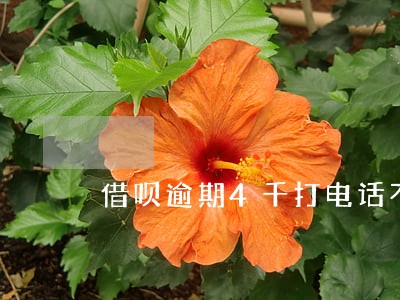 借呗逾期4千打电话不敢接 借呗逾期4千打电话不敢接