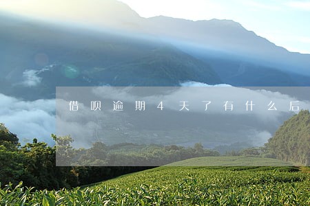 借呗逾期4天了有什么后果 借呗逾期4天了有什么后果