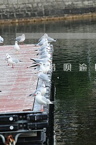 借呗逾期4天关闭 借呗逾期4天关闭