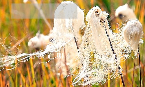 借呗逾期4天影响大吗 借呗逾期4天影响大吗