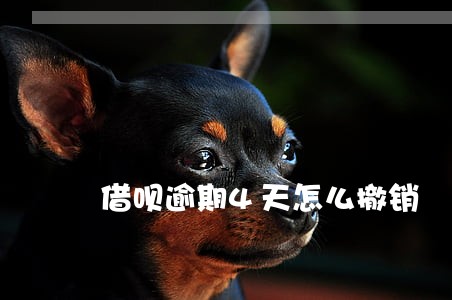 借呗逾期4天怎么撤销