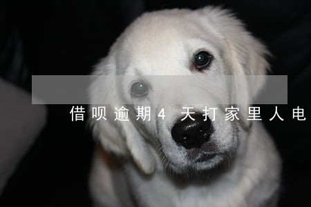 借呗逾期4天打家里人电话 借呗逾期4天打家里人电话