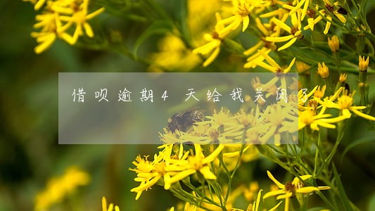 借呗逾期4天给我关闭了 借呗逾期4天给我关闭了