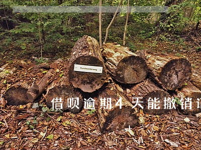 借呗逾期4天能撤销记录吗