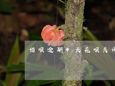 借呗逾期4天花呗关闭 借呗逾期4天花呗关闭