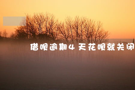 借呗逾期4天花呗就关闭了 借呗逾期4天花呗就关闭了
