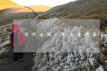 借呗逾期4天说要联系家人 借呗逾期4天说要联系家人