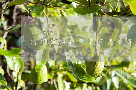 借呗逾期4天费用怎么算 借呗逾期4天费用怎么算