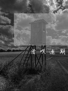 借呗逾期4天还有额度吗