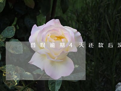 借呗逾期4天还款后没有额度了 借呗逾期4天还款后没有额度了
