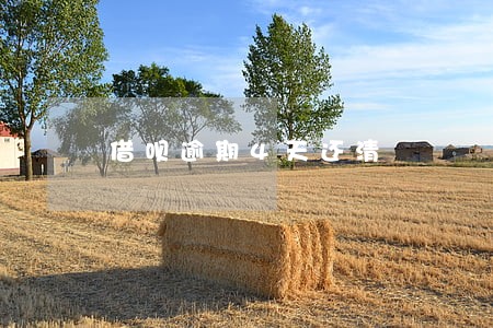 借呗逾期4天还清 借呗逾期4天还清