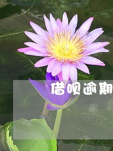 借呗逾期4小时有影响吗 借呗逾期4小时有影响吗