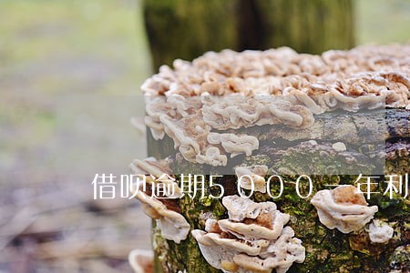 借呗逾期5000一年利息多少 借呗逾期5000一年利息多少