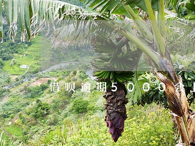 借呗逾期5000会上门吗 借呗逾期5000会上门吗