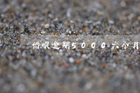 借呗逾期5000六个月 借呗逾期5000六个月