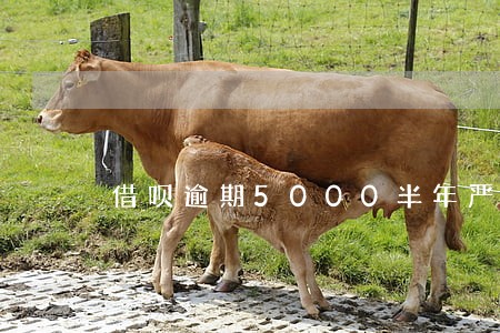 借呗逾期5000半年严重嘛 借呗逾期5000半年严重嘛