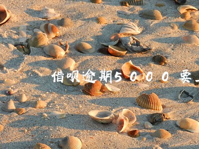 借呗逾期5000要上门 借呗逾期5000要上门