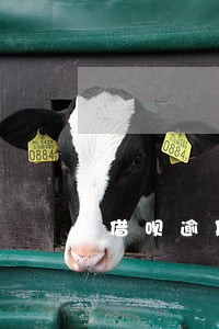 借呗逾期5万一年要还多少罚息 借呗逾期5万一年要还多少罚息