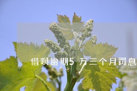 借呗逾期5万三个月罚息多少 借呗逾期5万三个月罚息多少