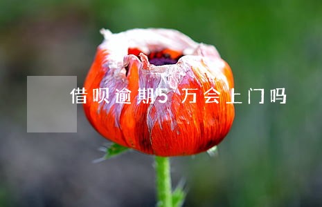 借呗逾期5万会上门吗 借呗逾期5万会上门吗
