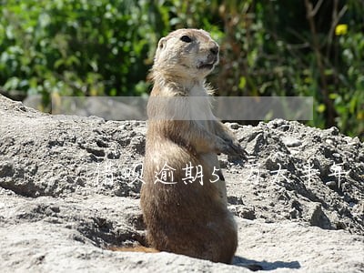 借呗逾期5万大半年 借呗逾期5万大半年