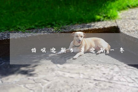 借呗逾期5万逾期一年 借呗逾期5万逾期一年