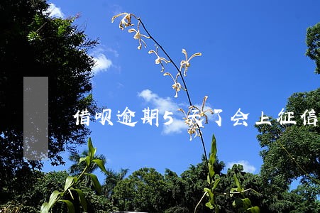 借呗逾期5天了会上征信吗 借呗逾期5天了会上征信吗