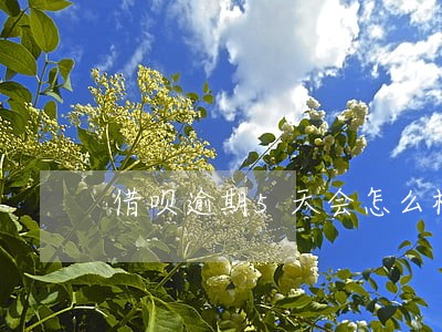 借呗逾期5天会怎么样 借呗逾期5天会怎么样