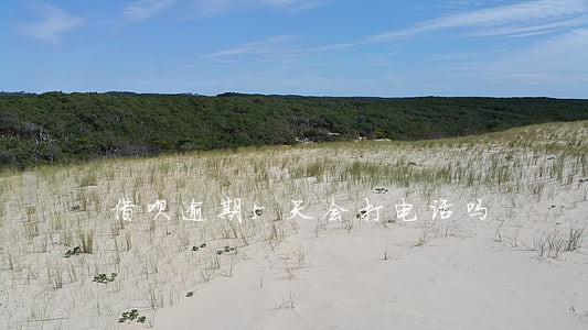 借呗逾期5天会打电话吗 借呗逾期5天会打电话吗