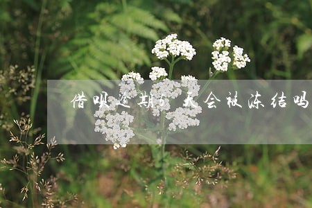 借呗逾期5天会被冻结吗 借呗逾期5天会被冻结吗
