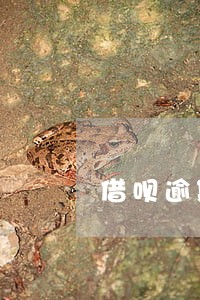 借呗逾期5天利息怎么算 借呗逾期5天利息怎么算