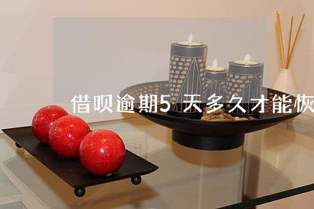 借呗逾期5天多久才能恢复使用 借呗逾期5天多久才能恢复使用