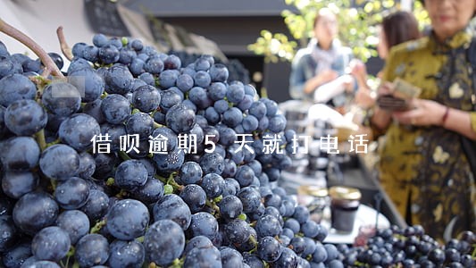 借呗逾期5天就打电话 借呗逾期5天就打电话