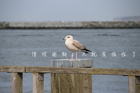 借呗逾期5天就有催收了 借呗逾期5天就有催收了