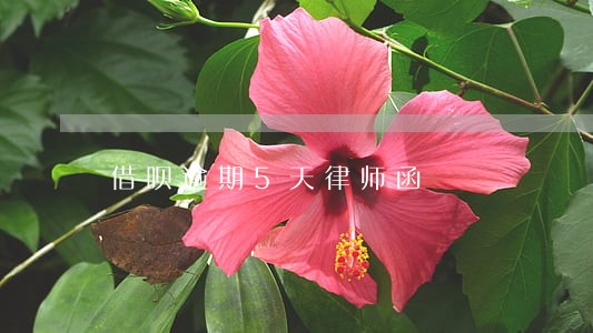 借呗逾期5天律师函