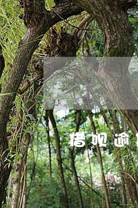 借呗逾期5天打通讯录