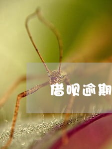 借呗逾期5天暂时无法借钱 借呗逾期5天暂时无法借钱
