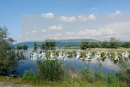 借呗逾期5天芝麻分会降多少 借呗逾期5天芝麻分会降多少