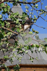 借呗逾期5天花呗冻结 借呗逾期5天花呗冻结