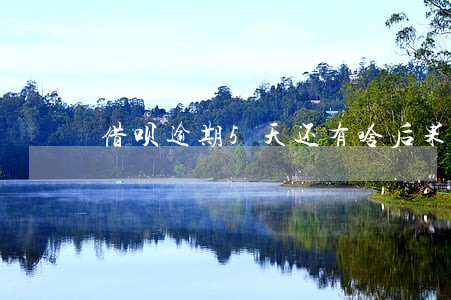 借呗逾期5天还有啥后果 借呗逾期5天还有啥后果