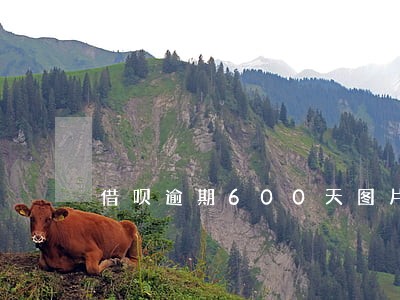 借呗逾期600天图片 借呗逾期600天图片