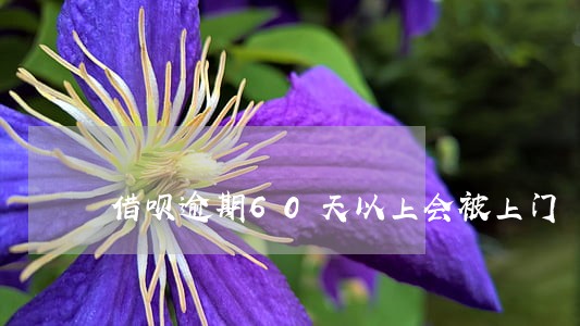 借呗逾期60天以上会被上门 借呗逾期60天以上会被上门