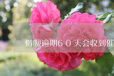 借呗逾期60天会收到催款函吗 借呗逾期60天会收到催款函吗